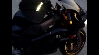 RACE GP CARBON EXHAUST On Black - Gold Edition ZX10R