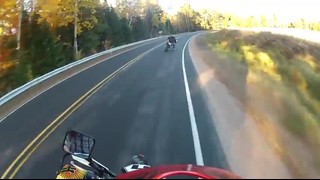 W.A.R. Supermoto Hooligans - SUMOS CAN SHIFT!