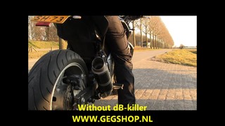 Kawasaki Z750 G&G Moto2 Exhaust
