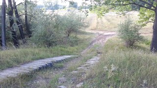 Kecskemét környéki enduro