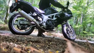 Sv650