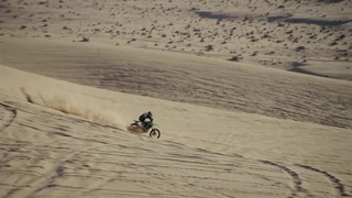 Monster Energy - Doonies2