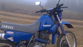 Yamaha xt