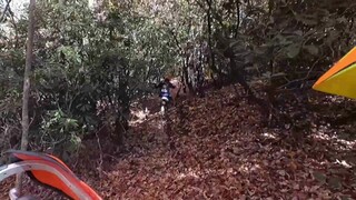 Ősz - Middle Hard Enduro - Kerek erdő közepén