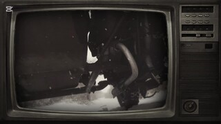 Napi BB tv 