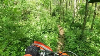 Megfulladok a rákba KTM